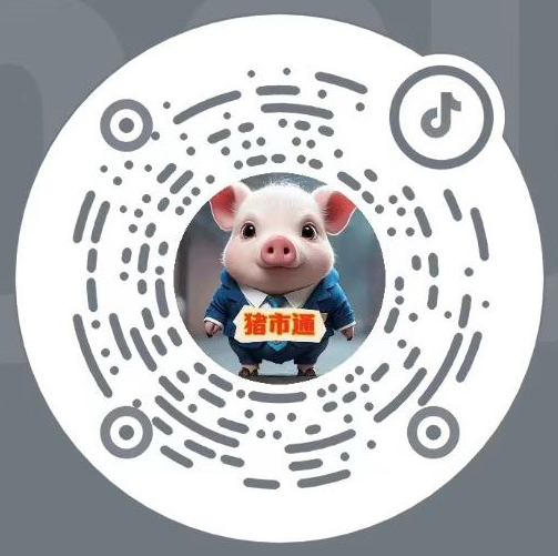 猪市通抖音